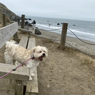 A nice lookout spot