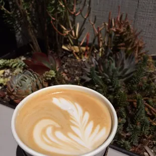 Latte art!