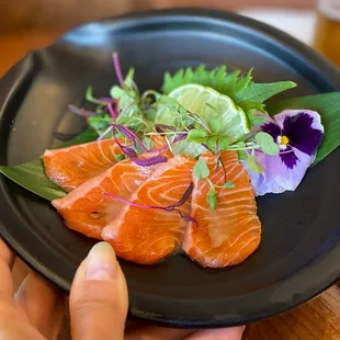 Ocean Trout