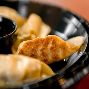 Fried Dumplings