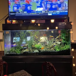 One of the many tvs and the fish tank