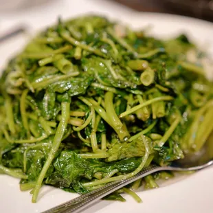 shellfish, mussels, oysters and mussels, oysters, food