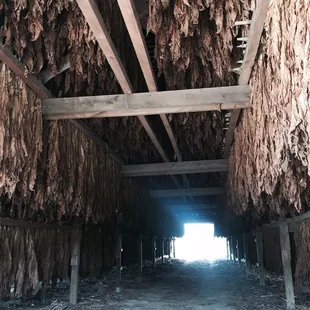 Tobacco barn, love the smell