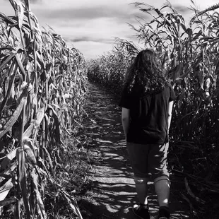 Corn maze was great