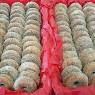 Fresh Apple Cider Donuts