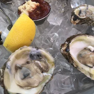 Fresh Oysters