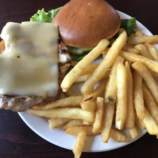 Greek Grilled Chicken Plate