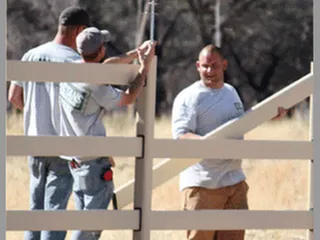Stan's Fence