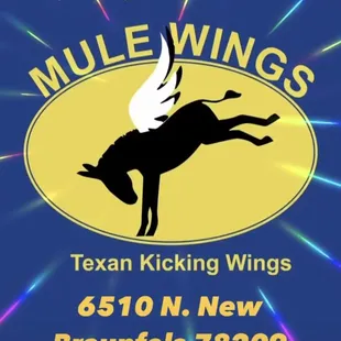 a picture of a flying horse