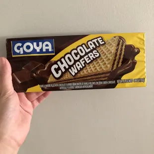 a hand holding a chocolate wafers bar