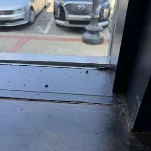 Dead flies and mess.