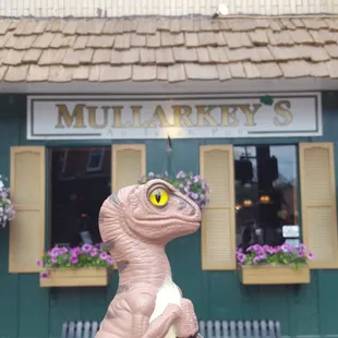 Bob the Raptor Says "Irish Mammals."