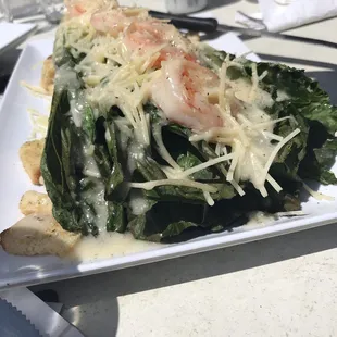 Special grilled shrimp caesar salad