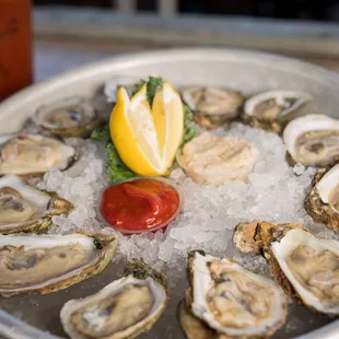 Dozen Oysters | Local - steamed or raw in-season