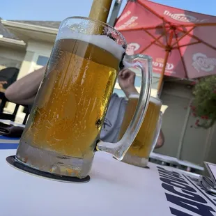 Officer:  they must've been pretty big beers