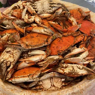 Bushel of crabs delivered hot