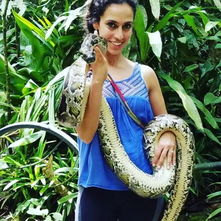 Heba E.