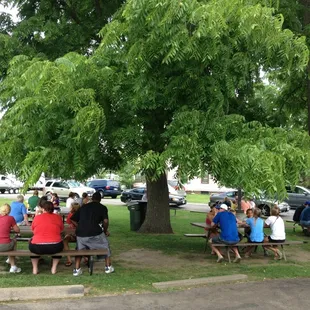 a group of people sitting at picnic tables under a tree