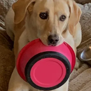 Roxy and her family thanks you for every thing you have done