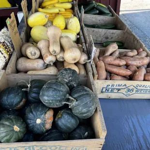 Local squash