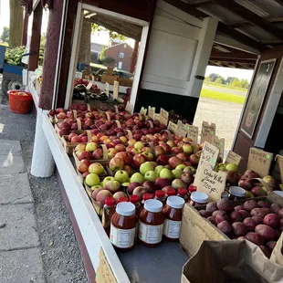 Fresh picked apples