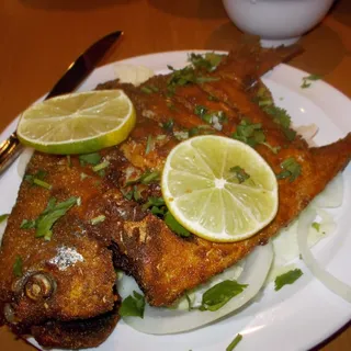 Pomfret Fry
