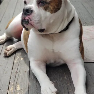 Casey S.