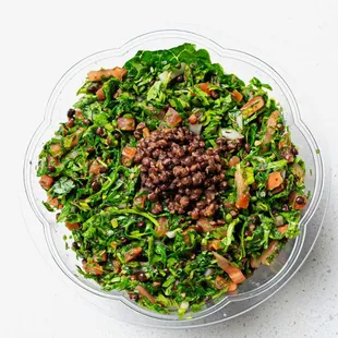 food, salad, salads