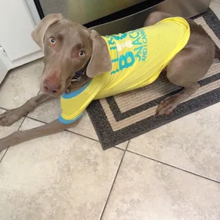 Gus F.