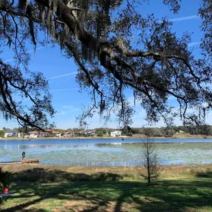 Lakeside Dining View