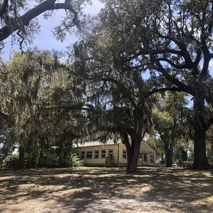 Area around the property