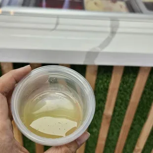 Sample of cucumber. So good!