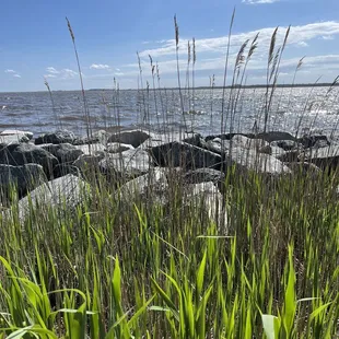 View of the water4/2022