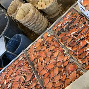 crabs in baskets