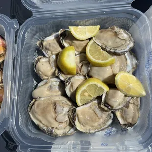 Dozen oysters