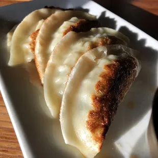 Gyoza