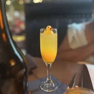 Mimosa