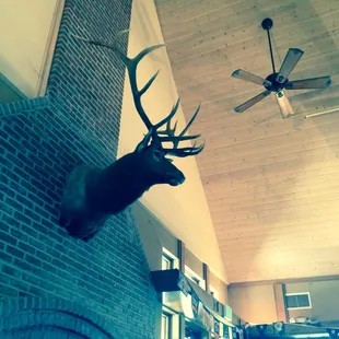 Above the fire place