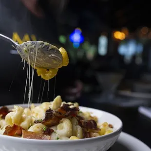 pasta dish, food, pasta