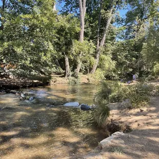 More stretch of stream