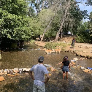Stream next to playground