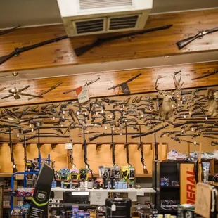 Historic Gun Collection Mural