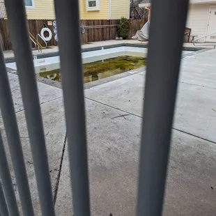 Disgusting swimming pool