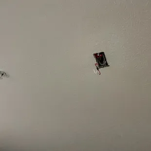 maybe the ammonia smell was causing it to go off so they decided that rather than clean the room they'd take the alarm?