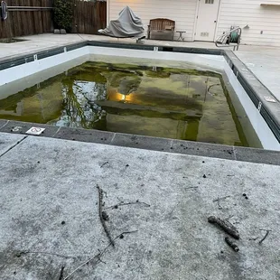 Anyone wanna go for a swim?