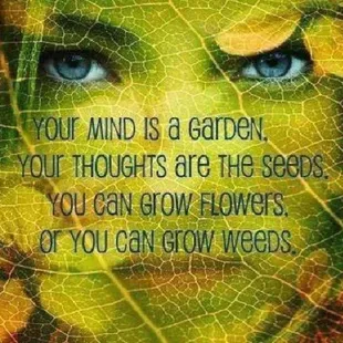 a woman's face with blue eyes and a quote that reads your mind is a garden, your thoughts
