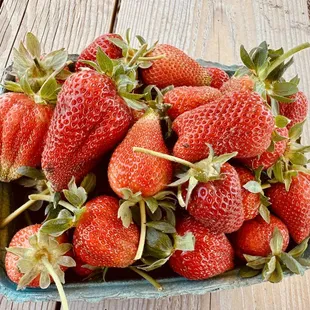 Freshly picked strawberries