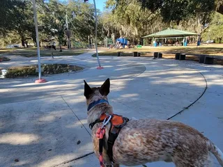 Losco Regional Park