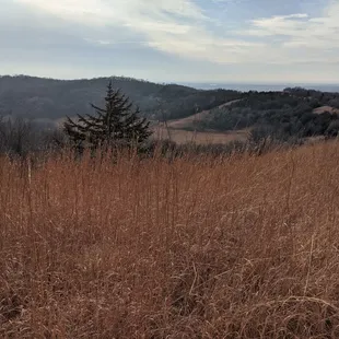Scenic overlook from the grasslands