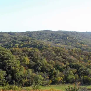 Loess Hills Forest meets the Farmlands.